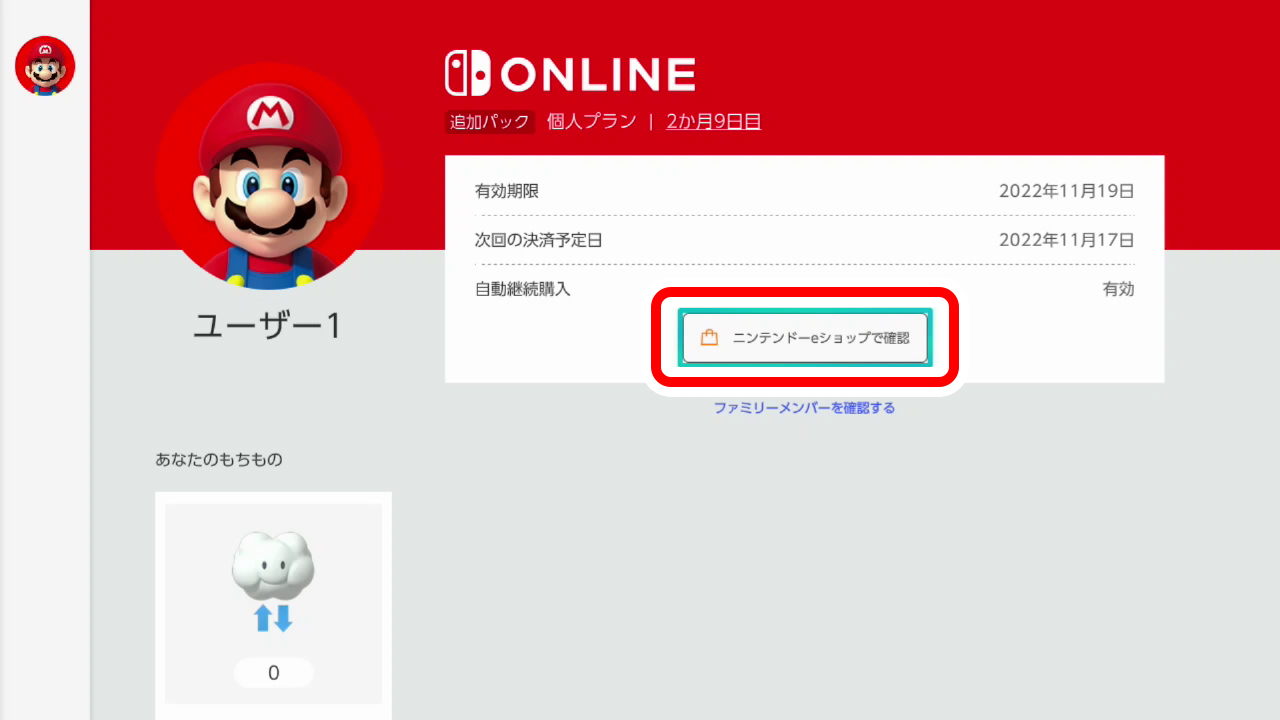 「ニンテンドーeショップで確認」を選択